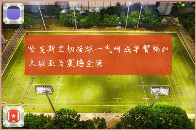 哈克斯空切接球一气呵成单臂隔扣文班亚马震撼全场