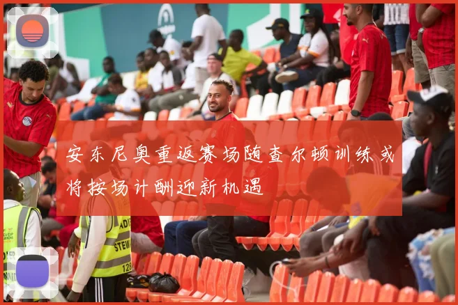 安东尼奥重返赛场随查尔顿训练或将按场计酬迎新机遇