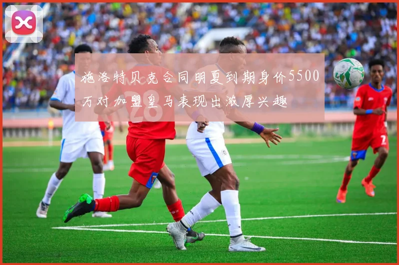 施洛特贝克合同明夏到期身价5500万对加盟皇马表现出浓厚兴趣