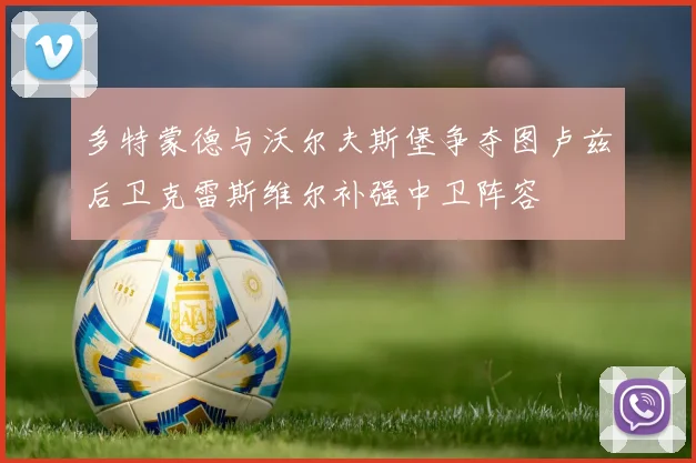 多特蒙德与沃尔夫斯堡争夺图卢兹后卫克雷斯维尔补强中卫阵容